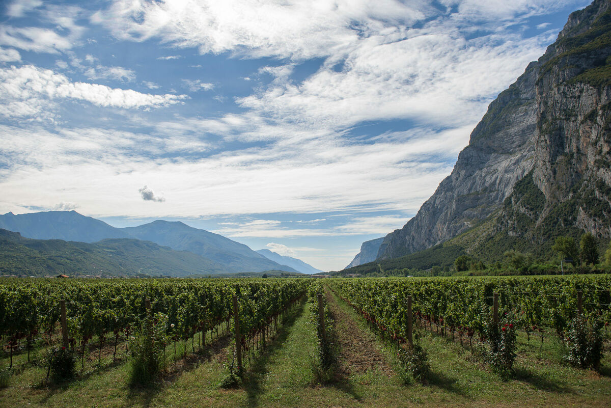 Anfore per vini biologici di Cantina Toblino - Tava