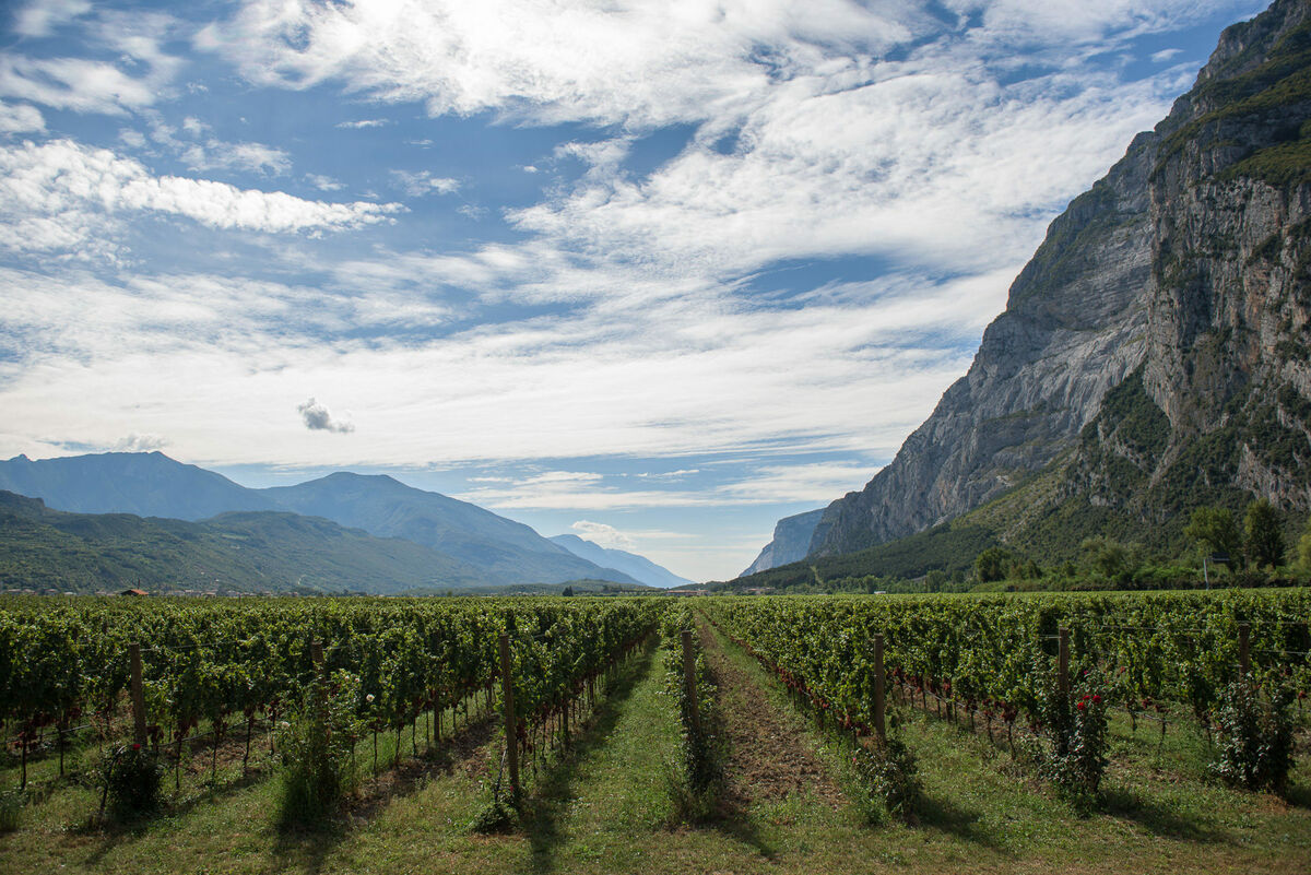 Amphoren für die Bioweine der Cantina Toblino - Tava