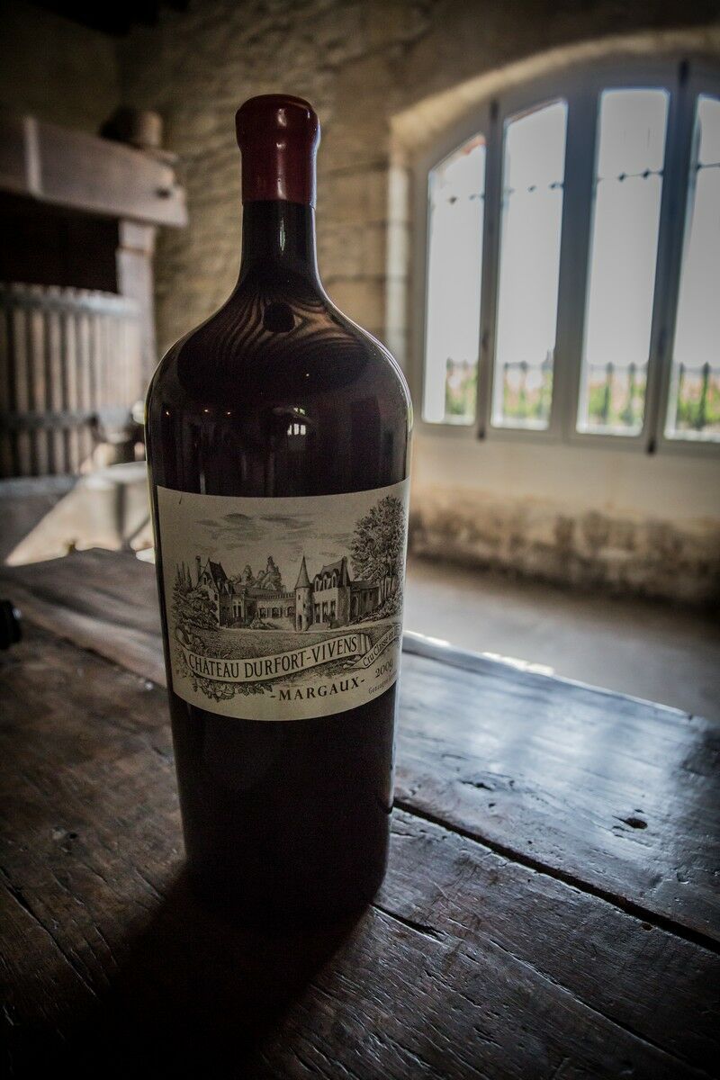 Ageing in amphora for Château Durfort - Tava