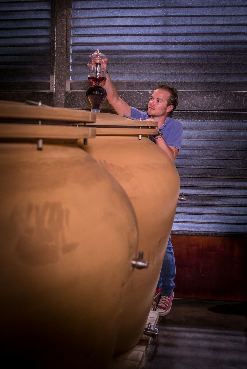 Ageing in amphora for Château Durfort - Tava