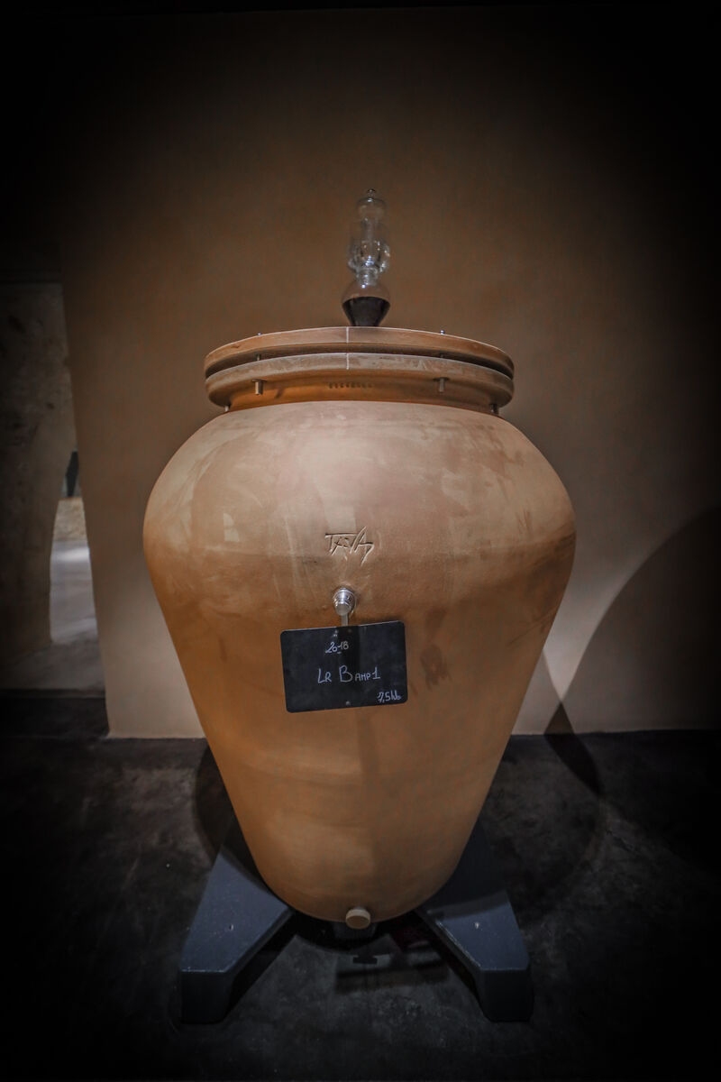 Anfore per l'affinamento del vino di Chateau Larmande - Tava