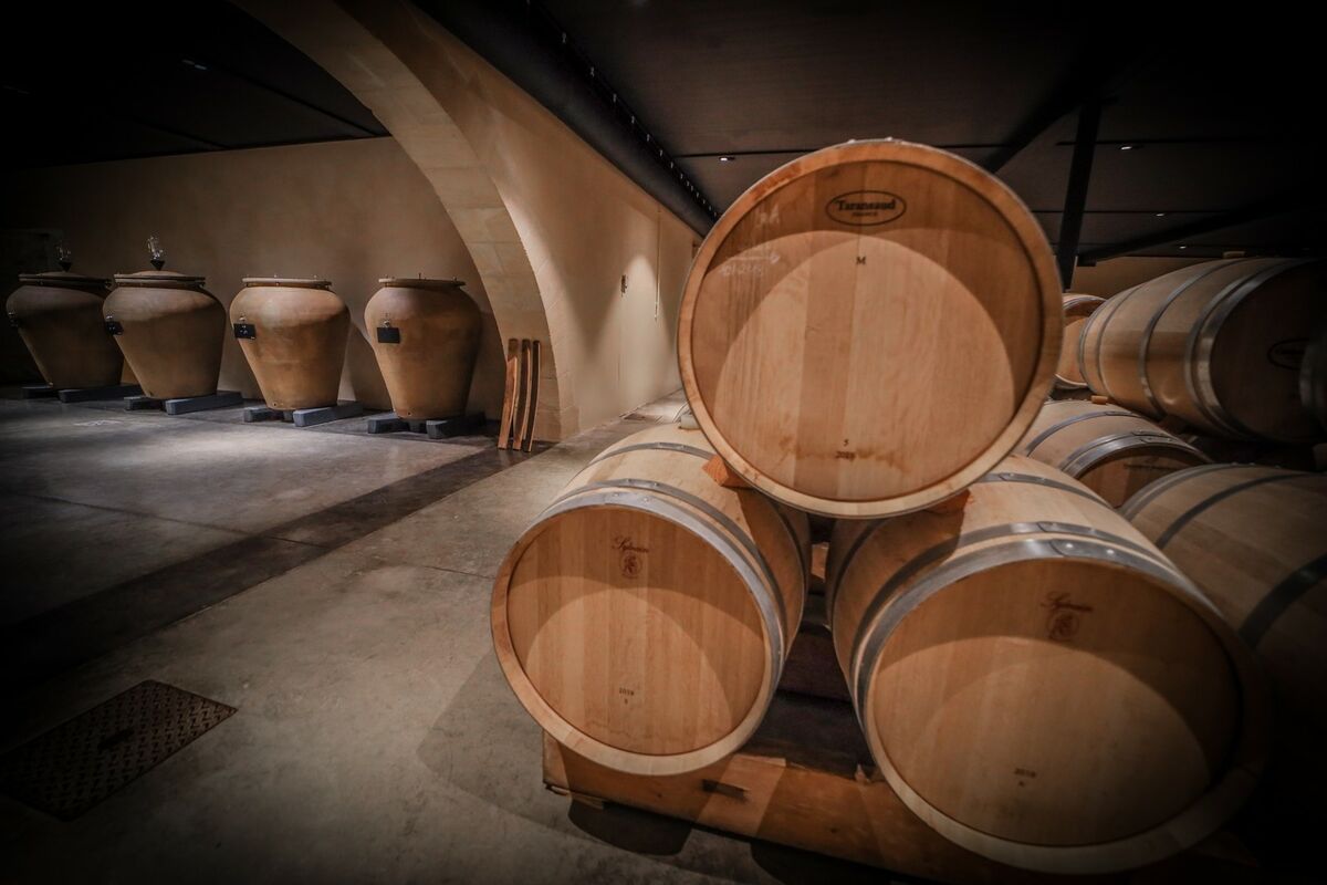 Amphores pour le vieillissement du vin de Château Larmande - Tava