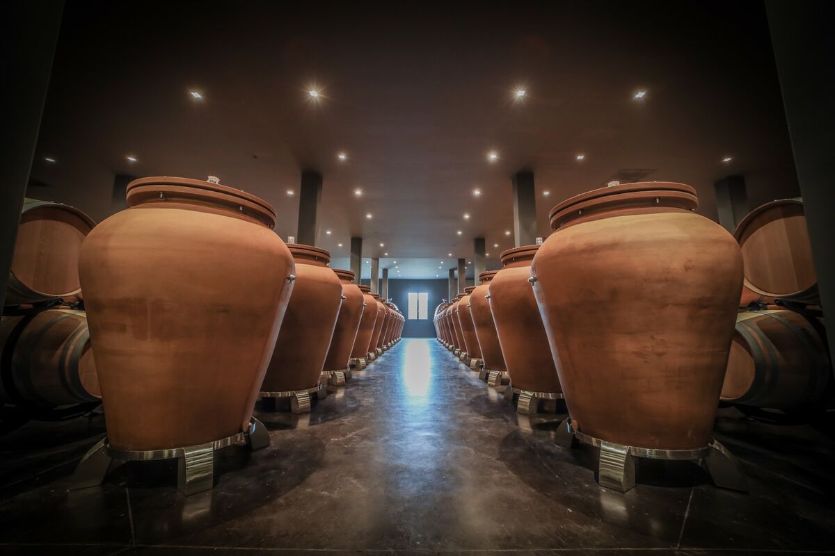 Amphorae for aging Château Larrivet wine - Tava