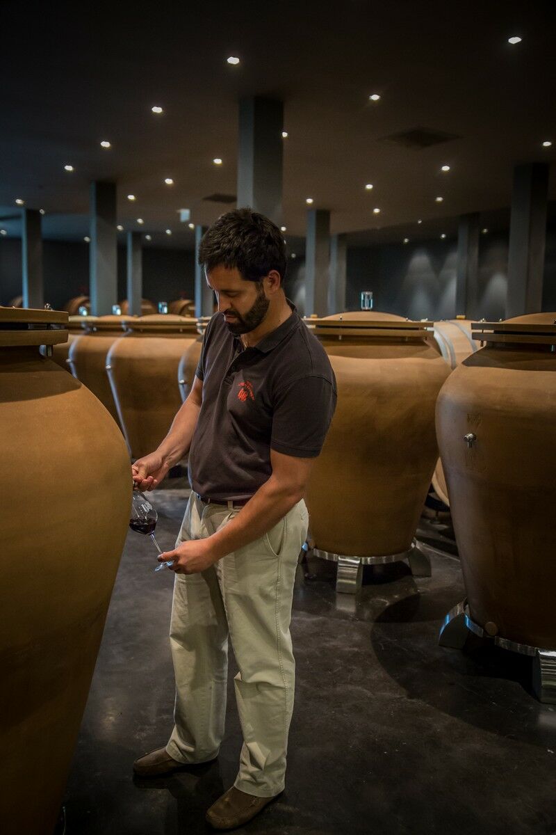 Amphores pour le vieillissement du vin de Château Larrivet - Tava